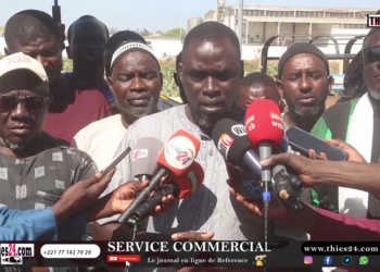 Vidéo/ Mévente de la pomme de terre, la recette de Kayar pour éviter le syndrome de l’année dernière