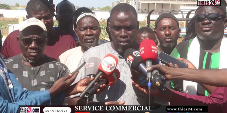 Vidéo/ Mévente de la pomme de terre, la recette de Kayar pour éviter le syndrome de l’année dernière