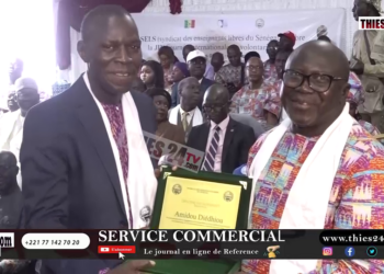 Vidéo/Absence des autorités à la journée internationale du volontariat à Thiès, la colère du SELS