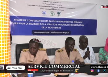 Vidéo/Consultation à Thiès pour la révision de la stratégie nationale de conservation de la biodiversité