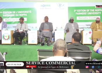 Vidéo/Les agriculteurs Ouest Africains cogitent à Thiès, sur les systèmes alimentaires paysans