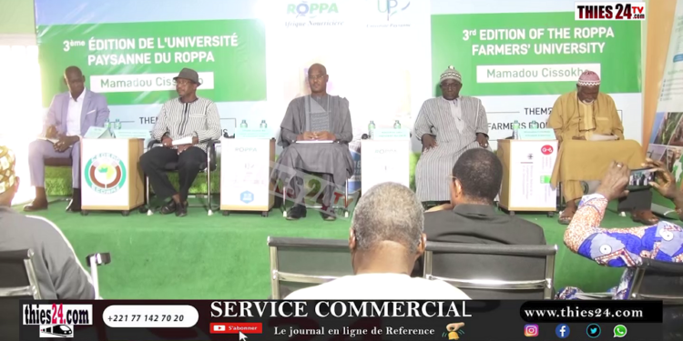 Vidéo/Les agriculteurs Ouest Africains cogitent à Thiès, sur les systèmes alimentaires paysans