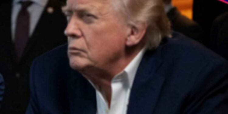 Le droit est mort, vive la jungle ?