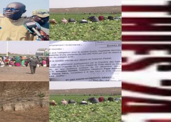 Vidéo/ Affaire QVS/Nouvelle ville, de nouveaux développements, contraires aux directives du PM