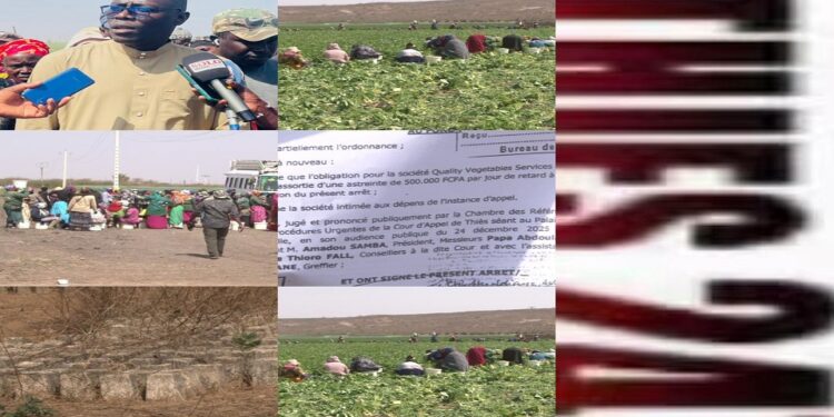 Vidéo/ Affaire QVS/Nouvelle ville, de nouveaux développements, contraires aux directives du PM