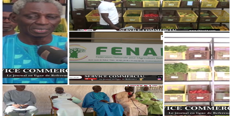 Vidéo/Ouverture d’une boutique de vente de produits agricoles certifiés bio avec la FENAB