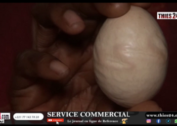 Vidéo/Miracle à Ngoumsane Thiès, un oeuf de poule avec l’inscription Mohamed (PSL)