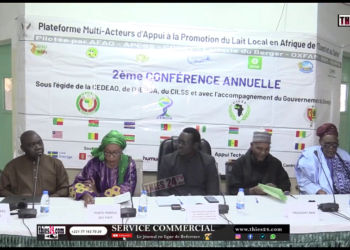 Vidéo/Une conférence sous-régionale à Thiès, sur la promotion du lait local