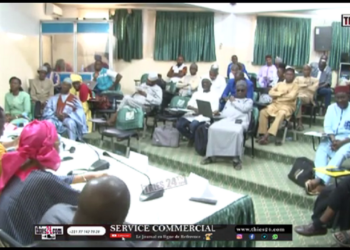 Vidéo/ Les conclusions de la conférence annuelle à Thiès sur le lait local