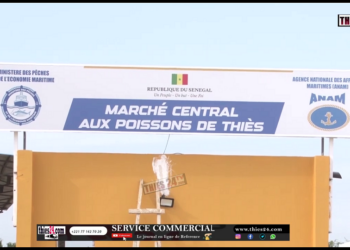 Vidéo/ Les images du tout nouveau marché au poisson de Thiès