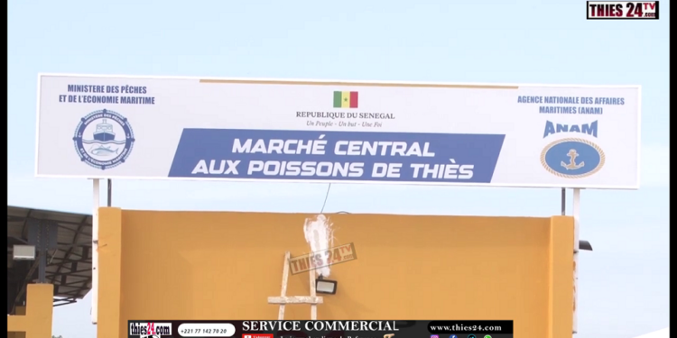 Vidéo/ Les images du tout nouveau marché au poisson de Thiès