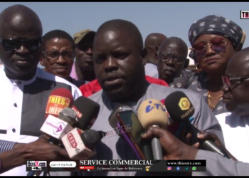 Vidéo/Affaire lotissement Mbour 4, les annonces du collectif