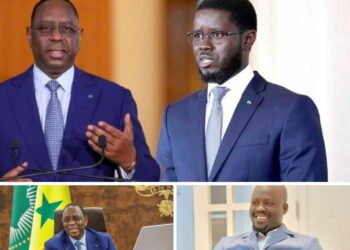 Soutien à la candidature du Président Macky Sall, Massaly écrit au Président Diomaye