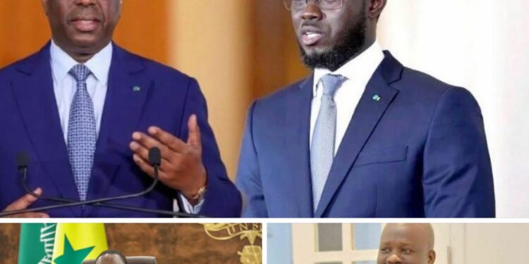 Soutien à la candidature du Président Macky Sall, Massaly écrit au Président Diomaye
