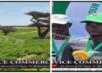 Vidéo/Production de pommes de terre, Gora Diène s&rsquo;offre en exemple à Notto Gouye Diama