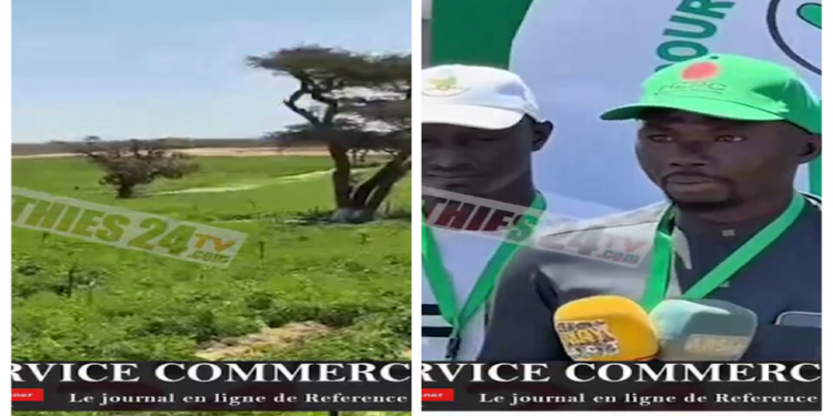 Vidéo/Production de pommes de terre, Gora Diène s’offre en exemple à Notto Gouye Diama