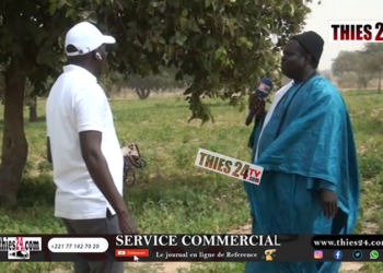 Vidéo/Baba Garage, à la découverte du périmètre maraîcher de grande envergure de Fassel