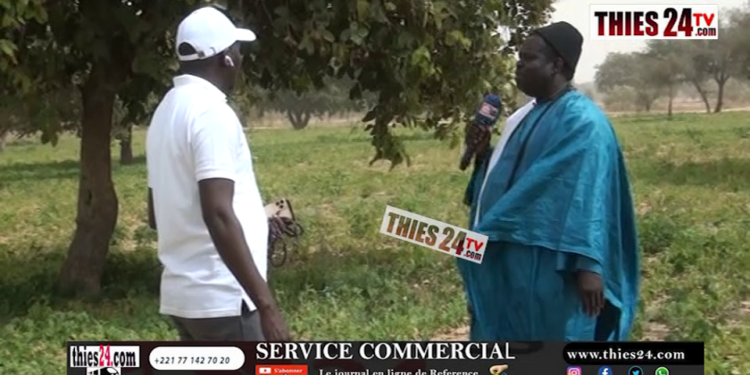 Vidéo/Baba Garage, à la découverte du périmètre maraîcher de grande envergure de Fassel