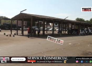 Vidéo/Thiès, grève transport, gare routière déserte, les chauffeurs rappellent leurs exigences