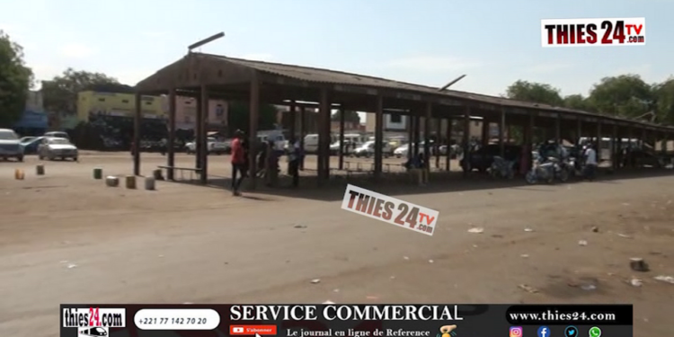 Vidéo/Thiès, grève transport, gare routière déserte, les chauffeurs rappellent leurs exigences