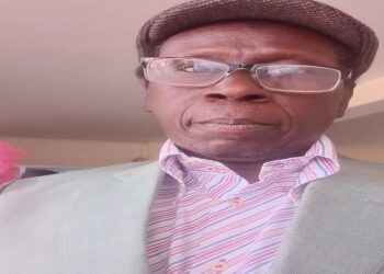« Sonnez le glas de la chienlit et du vaudeville de ces D.G, PCA et autres Ministres  pour insubordination !! » (Abdoulaye Diouf membre Diomaye Président)