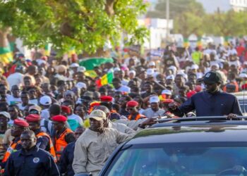 Vidéo/ Le Président Diomaye fortement acclamé sur l&rsquo;Avenue Caen à son arrivée à Thiès