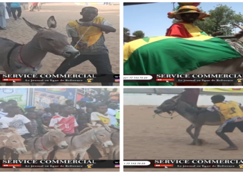 Vidéo/A mourir de rires Course Mbaam inédite à Thiès, regardez