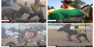 Vidéo/A mourir de rires Course Mbaam inédite à Thiès, regardez