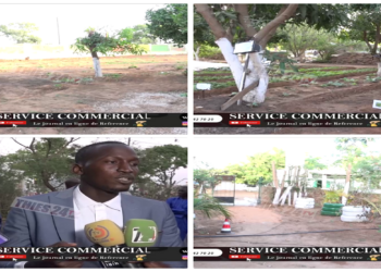 Vidéo/ Inauguration du club environnement et agroécologie du Lycée Malick Sy de Thiès