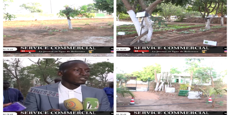 Vidéo/ Inauguration du club environnement et agroécologie du Lycée Malick Sy de Thiès
