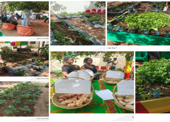 Atelier d&rsquo;amélioration des moyens de subsistance et de résilience des communautés avec GIPS/WAR