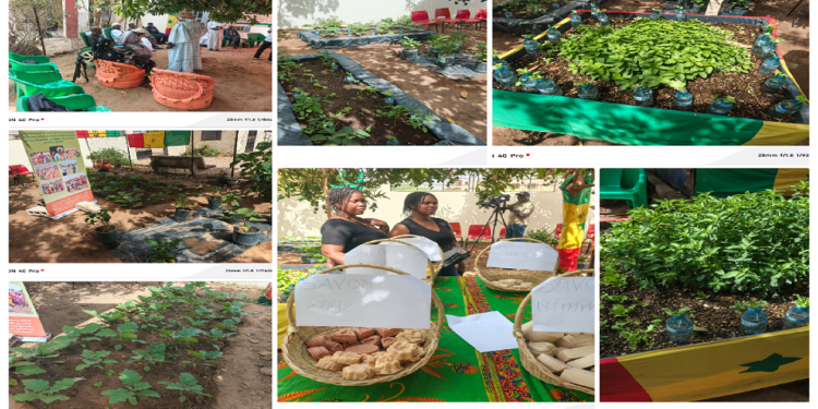 Atelier d’amélioration des moyens de subsistance et de résilience des communautés avec GIPS/WAR