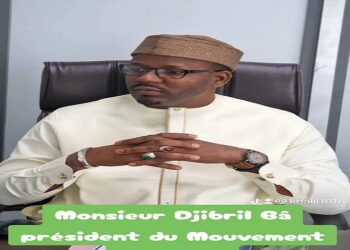 L’essentiel ou le chaos !(Par Djibril BA Ingénieur agronome, Ingénieur Financier)