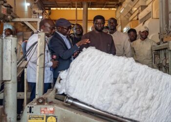 Vélingara: Le président Bassirou Diomaye Faye se félicite du développement de la filière coton