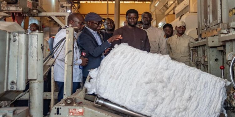 Vélingara: Le président Bassirou Diomaye Faye se félicite du développement de la filière coton