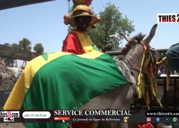 Vidéo/Avant goût courses Mbaam à Thiès, parade dans les rues