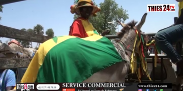 Vidéo/Avant goût courses Mbaam à Thiès, parade dans les rues