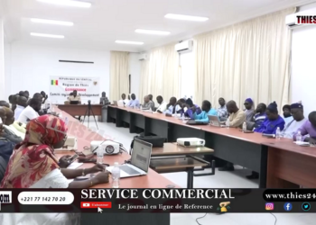 Vidéo/ Tabaski 2026, les besoins estimés à 230.000 moutons pour la région de Thièa