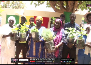 Vidéo/Formation en micro jardinage avec GIPS/WAR pour renforcer la résilience face au changement climatique