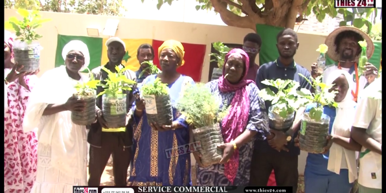 Vidéo/Formation en micro jardinage avec GIPS/WAR pour renforcer la résilience face au changement climatique