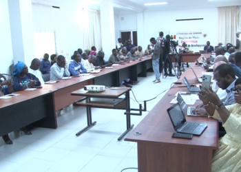 Vidéo/Maîtrise du développement urbain, 800 millions pour des études (12 communes région Thiès)