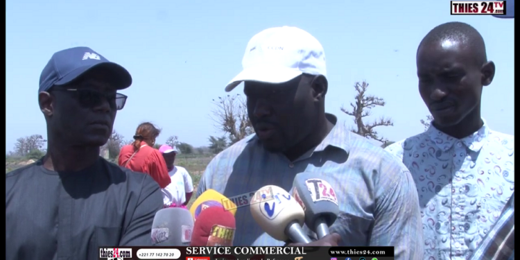 Vidéo/ La route Pout-Ndam fait jaser les populations, Thierno Alassane Sall réagit