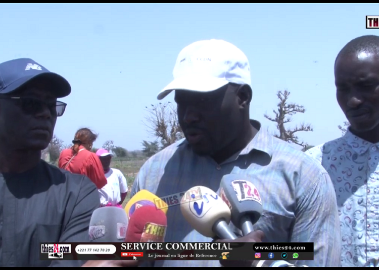 Vidéo/ La route Pout-Ndam fait jaser les populations, Thierno Alassane Sall réagit