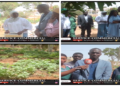 Vidéo/ Le programme Agri-jeunes visite le projet du Club environnement et agro écologie du Lycée Malick Sy Thiès
