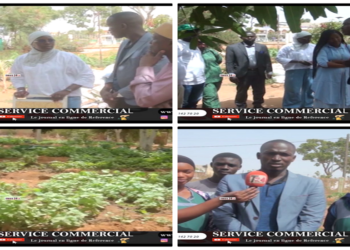 Vidéo/ Le programme Agri-jeunes visite le projet du Club environnement et agro écologie du Lycée Malick Sy Thiès