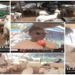 Vidéo/ Hausse des prix des moutons, les vendeurs donnent les raisons