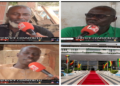 Vidéo/Sonko, limogeage et réintégration à l’Assemblée, des voix s’élèvent à Pout