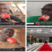 Vidéo/Sonko, limogeage et réintégration à l&rsquo;Assemblée, des voix s&rsquo;élèvent à Pout