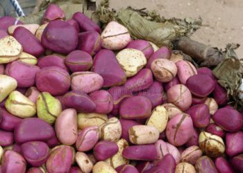 Mariage au Sénégal : 6,1 millions de personnes mariées contre 5,6 millions de célibataires