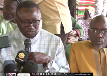 ‎ »Sonko à l&rsquo;Assemblée, le temps du Sénégal souverain, tourné vers le progrès est en marche » (Abdou Bâ Ndiéguène)